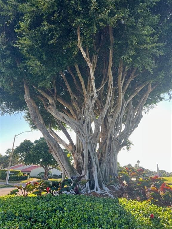 4100 Steamboat BEND E # 501, FORT MYERS FL 33919-26