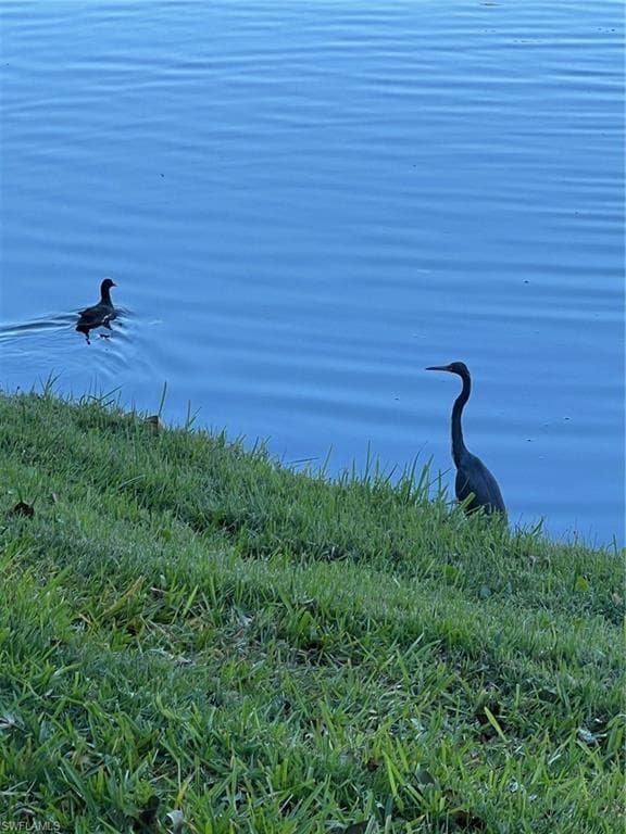 4100 Steamboat BEND E # 501, FORT MYERS FL 33919-19