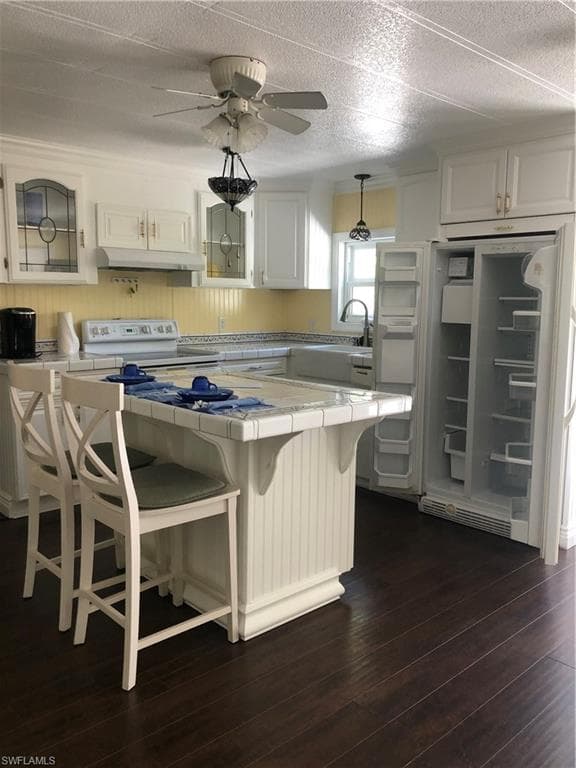 526 Pine Tree CT, NORTH FORT MYERS FL 33917-4