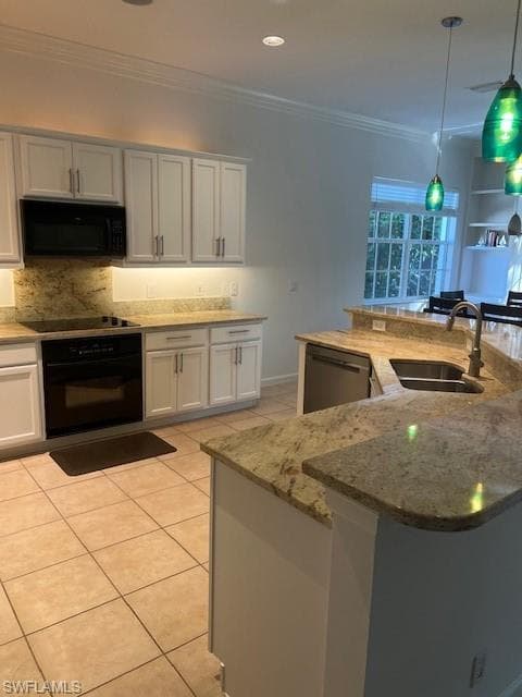 15818 Delaplata LN, NAPLES FL 34110-25