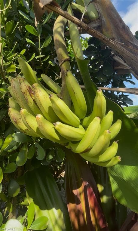 33 Henderson DR, NAPLES FL 34114-32