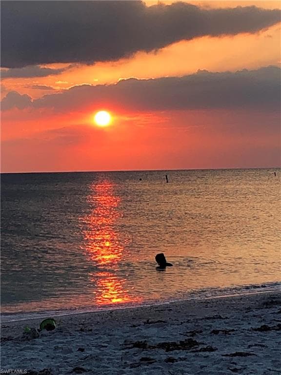 28101 Mandolin CT # 123, BONITA SPRINGS FL 34135-13