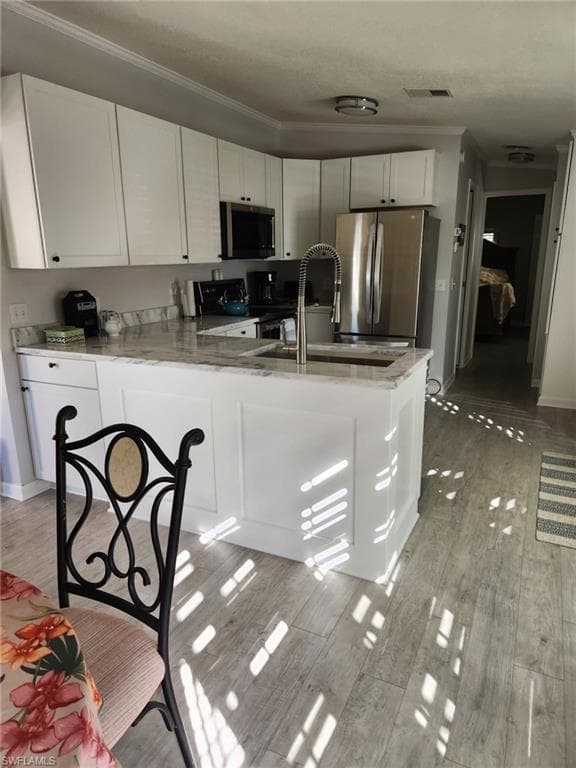 10823 Ani CIR, ESTERO FL 33928-12