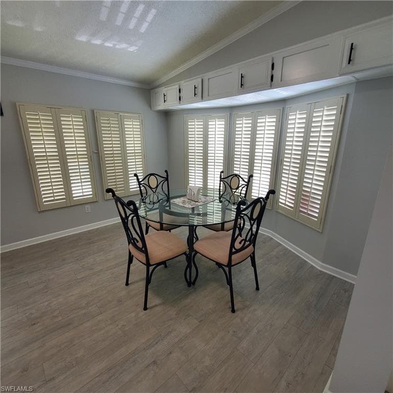 10823 Ani CIR, ESTERO FL 33928-13