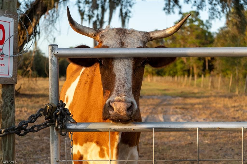 894 Cemetery RD, LABELLE FL 33935-35