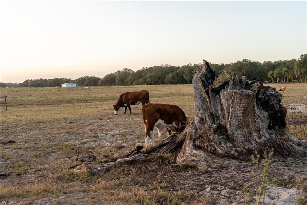 894 Cemetery RD, LABELLE FL 33935-32