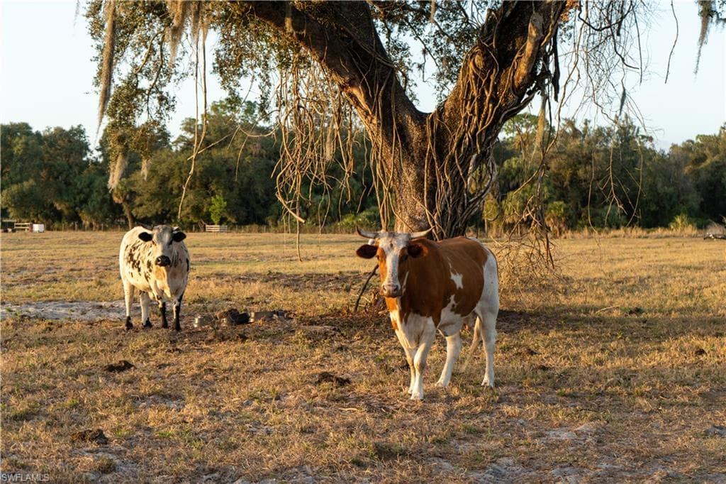894 Cemetery RD, LABELLE FL 33935-28