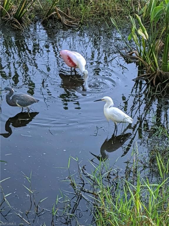 9618 Hemingway LN # 3904, FORT MYERS FL 33913-44