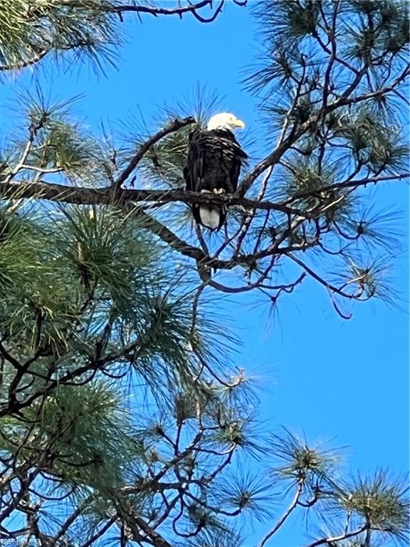 9618 Hemingway LN # 3904, FORT MYERS FL 33913-43