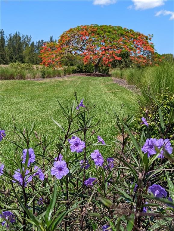 2623 Somerville LOOP # 508, CAPE CORAL FL 33991-34