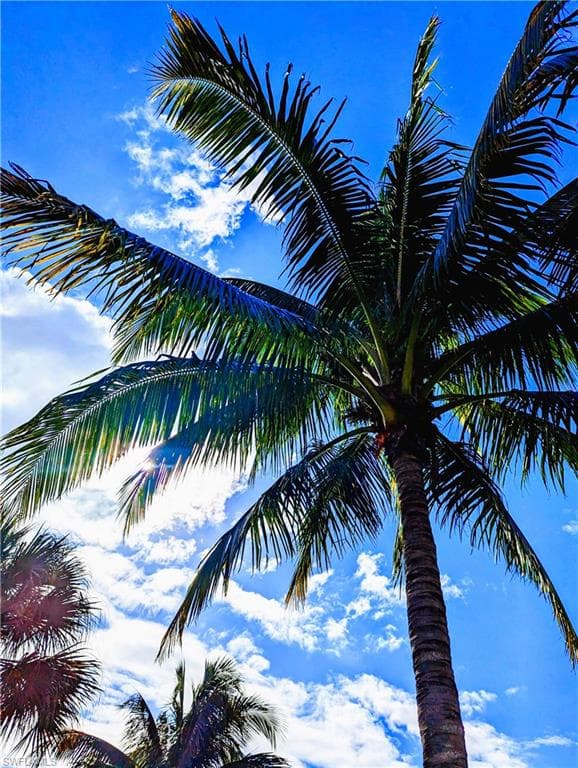 2623 Somerville LOOP # 508, CAPE CORAL FL 33991-28