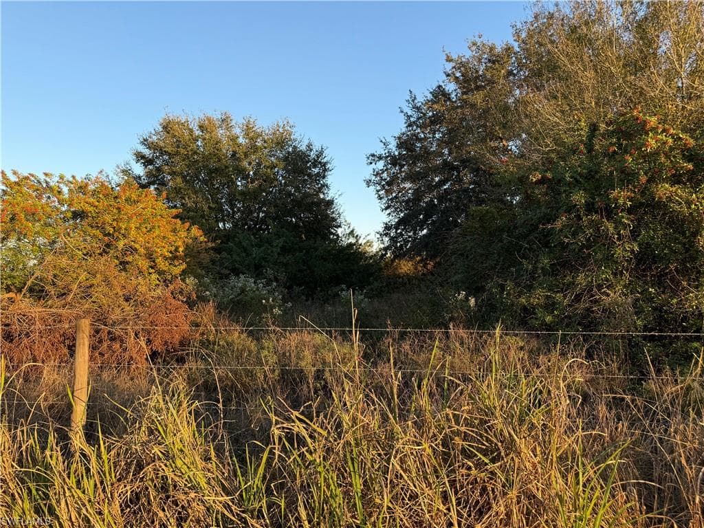 5801 4th RD, LABELLE FL 33935-1