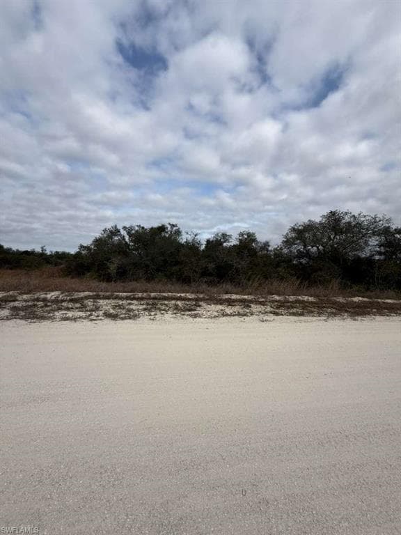 446 Fawnwood AVE, LAKE PLACID FL 33852-6