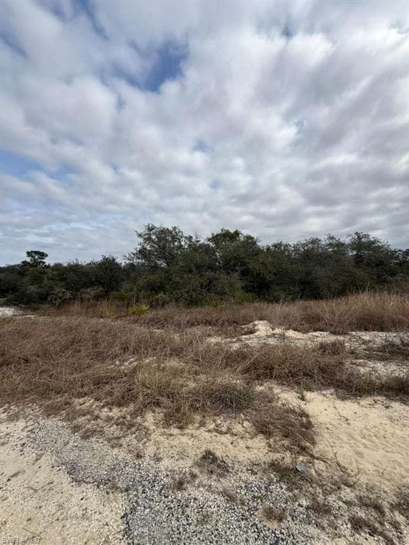 446 Fawnwood AVE, LAKE PLACID FL 33852-3