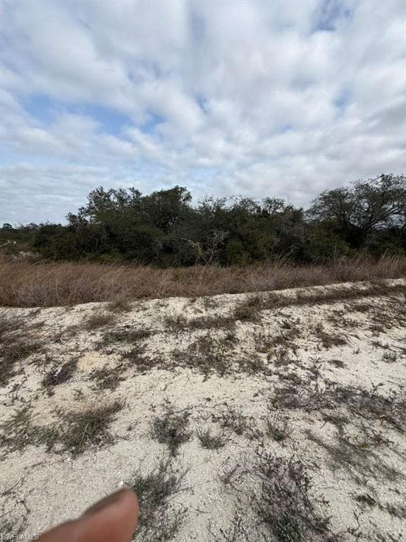 446 Fawnwood AVE, LAKE PLACID FL 33852-7