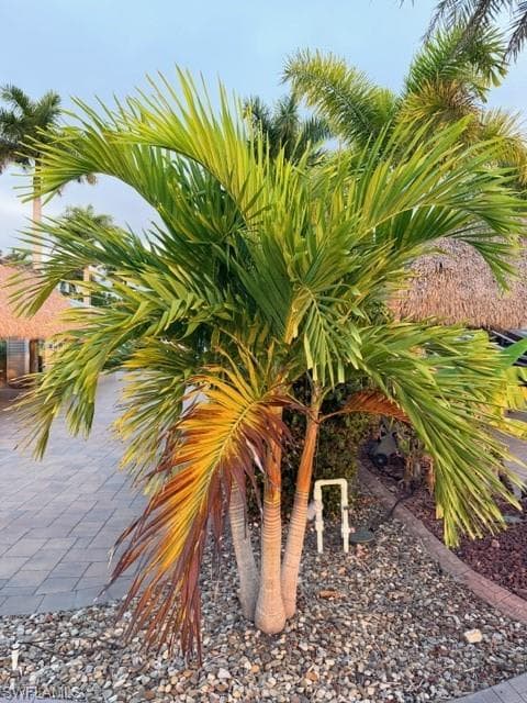 5309 Cypress Trail Resort CIR, FORT MYERS FL 33905-15