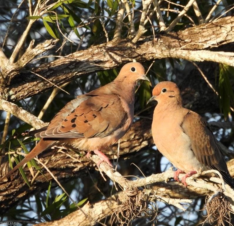 6986 Winkler RD, FORT MYERS FL 33919-46