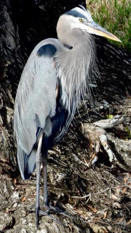 6986 Winkler RD, FORT MYERS FL 33919-44