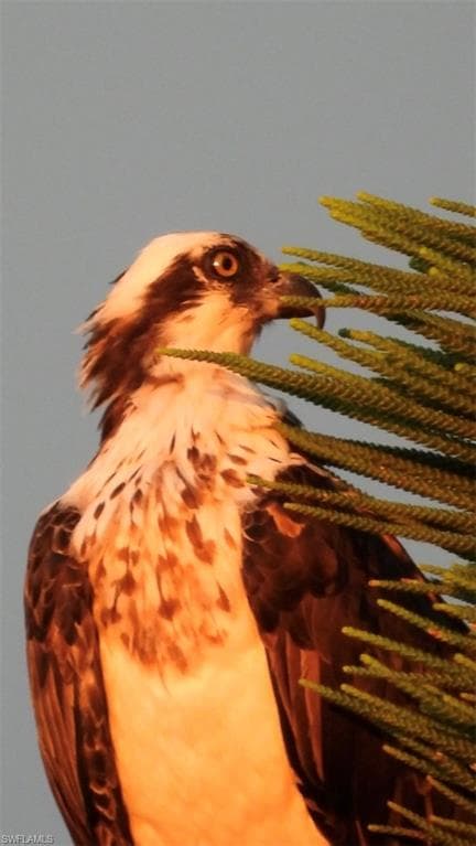 6986 Winkler RD, FORT MYERS FL 33919-47