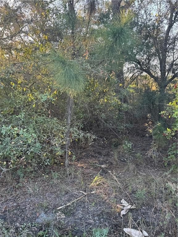 5120 Pioneer 23rd ST, CLEWISTON FL 33440-6