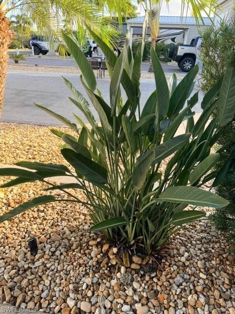 5208 Marsh Mallow TRL, FORT MYERS FL 33905-17