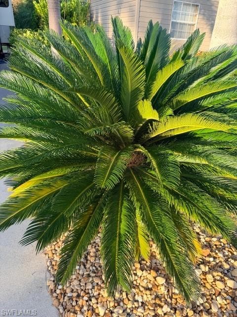 10345 Prairie Iris TRL, FORT MYERS FL 33905-4