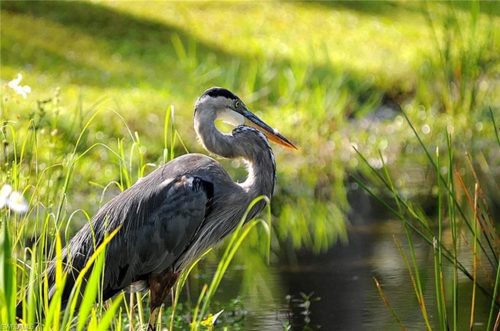 24406 Nicobar LN, PUNTA GORDA FL 33955-44