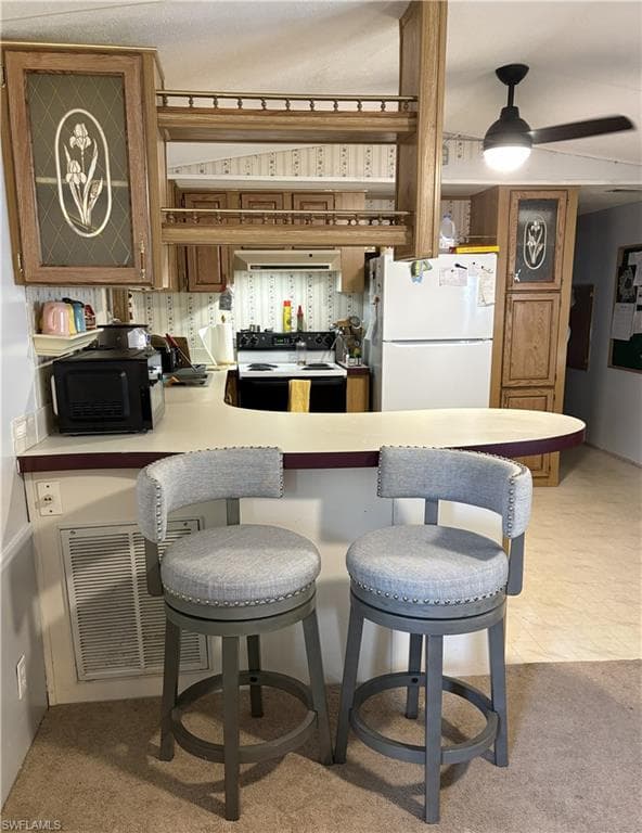 10580 Wales LOOP, BONITA SPRINGS FL 34135-5