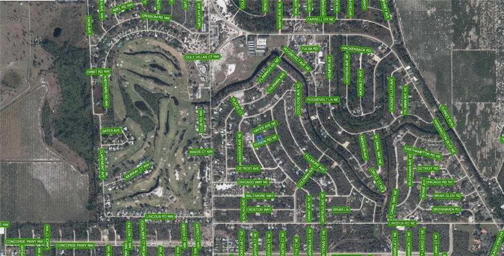 102 Edison RD NE, LAKE PLACID FL 33852-2