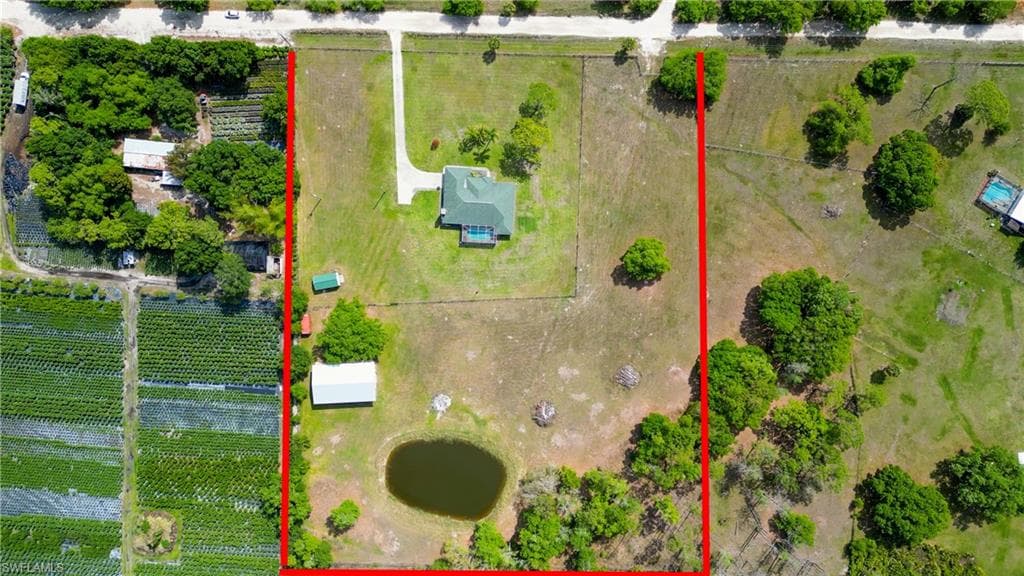 17090 Silver Panther LN-4