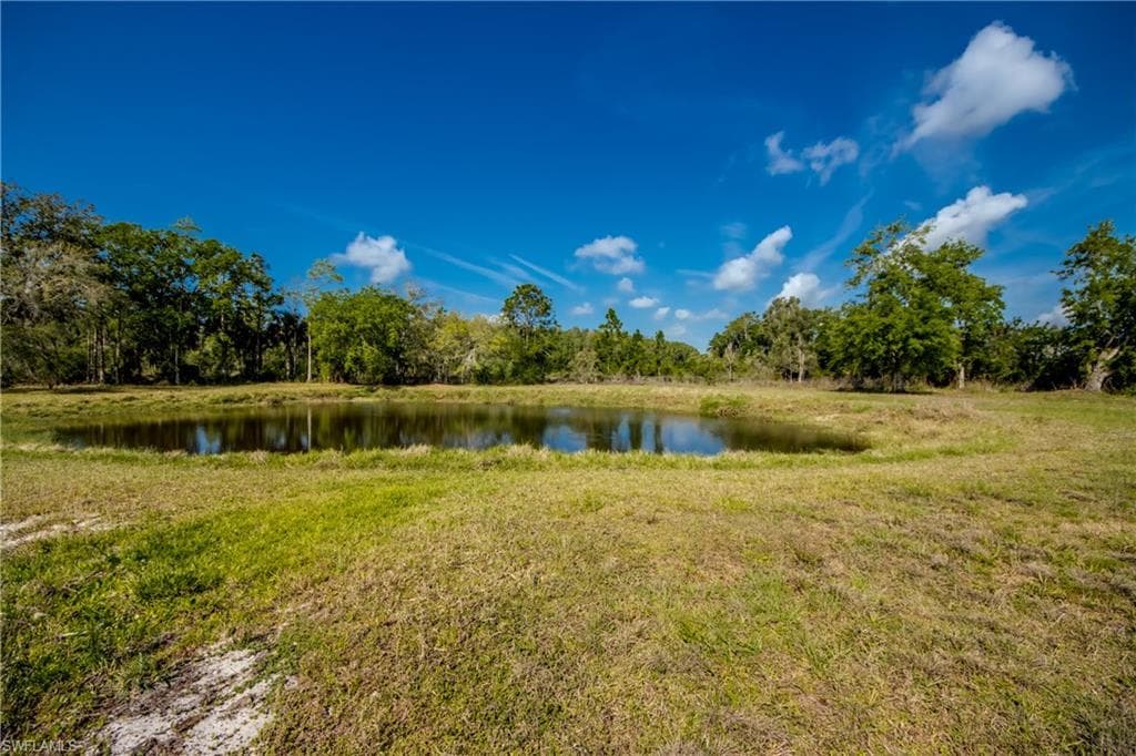 17090 Silver Panther LN-41