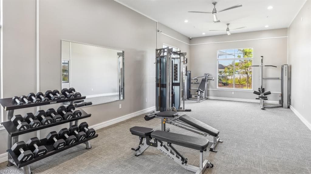 2661 Soft Coral WAY-24