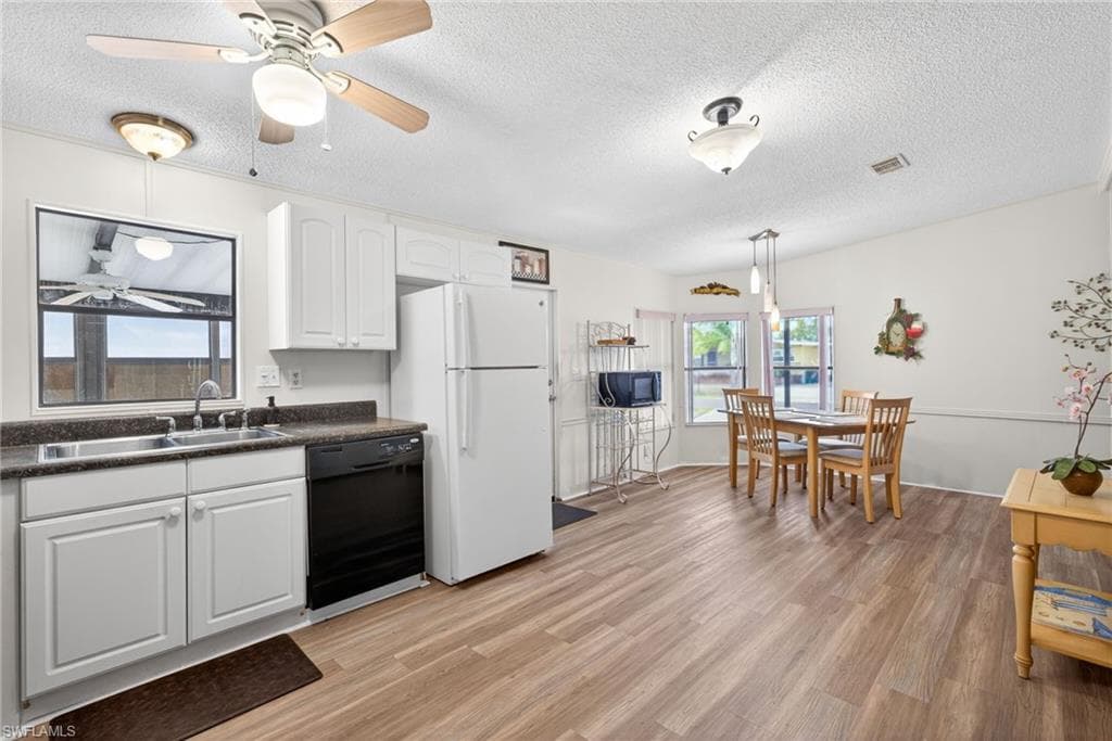 10220 Wales LOOP-8