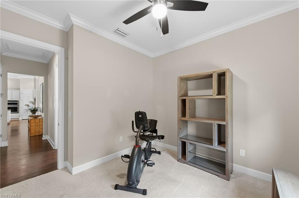 13500 Brown Bear RUN-30