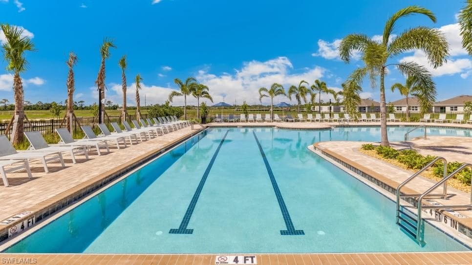 2672 Star Coral DR-32