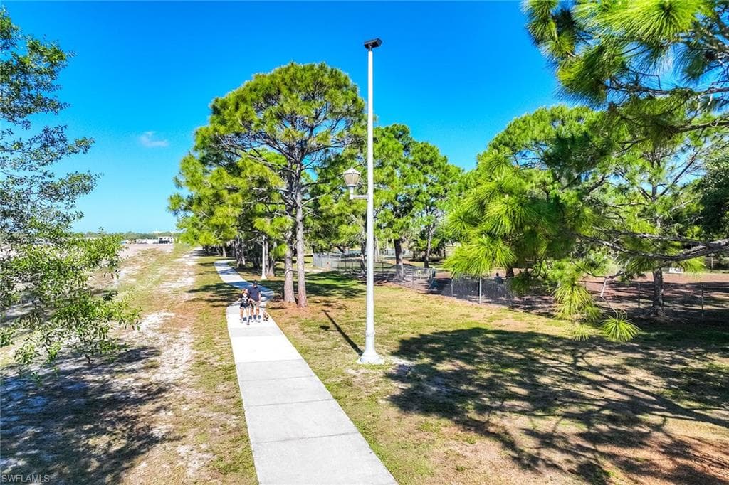21701 Arenga LN-45