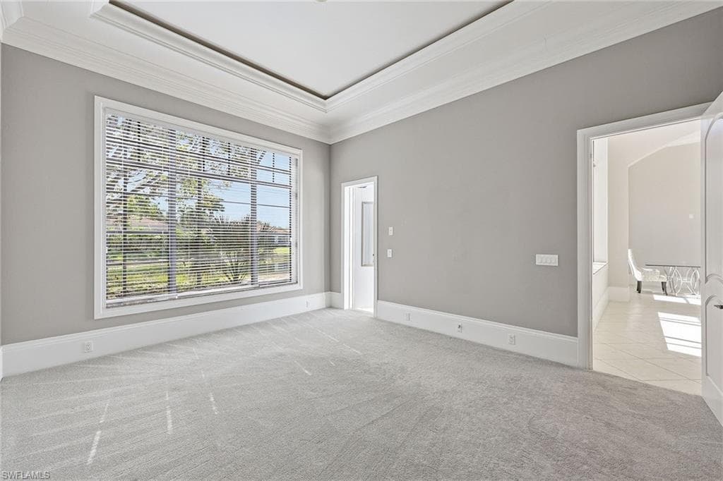 21701 Arenga LN-29