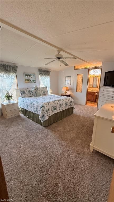 10651 Wales LOOP-13