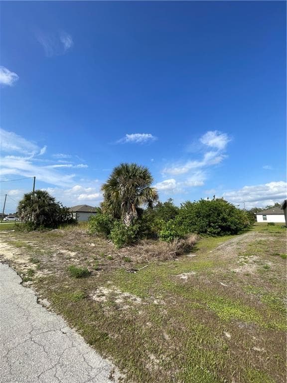 837 youngreen DR-7