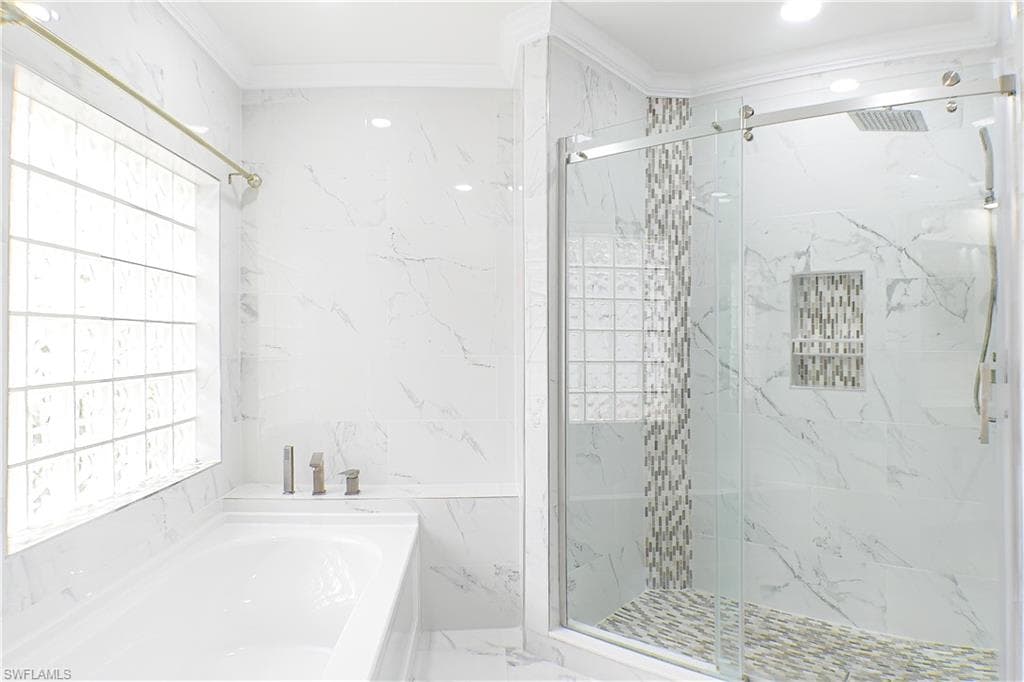 160 lady palm DR-12