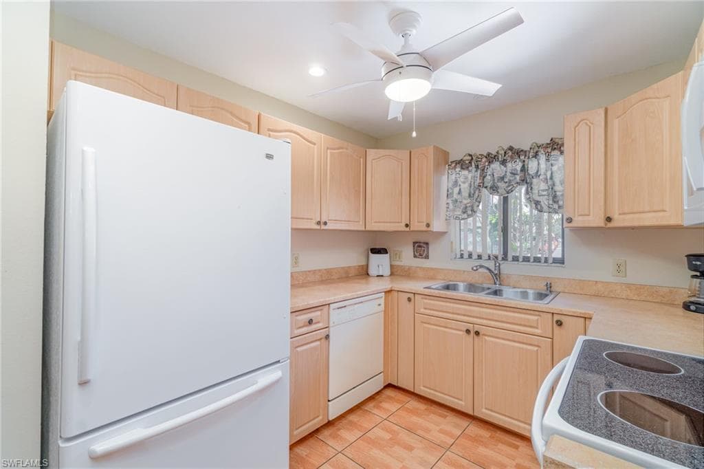 7151 Blanquilla CT-10