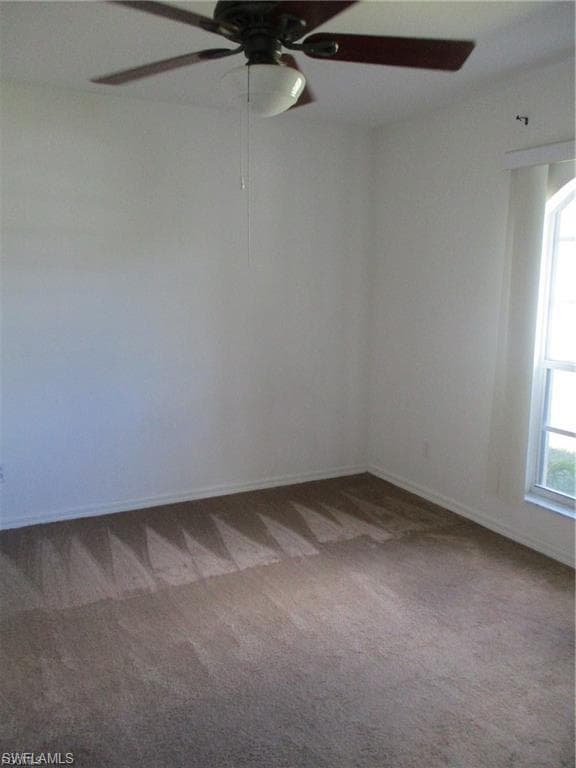 228 Ambury ST-5