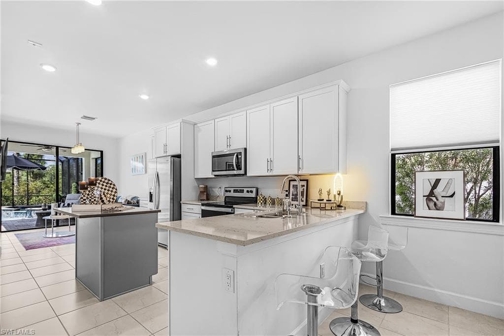 3990 Spotted Eagle WAY-8