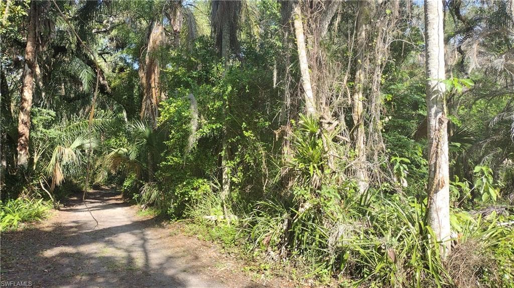 1469 Coffee Mill Hammock RD-1