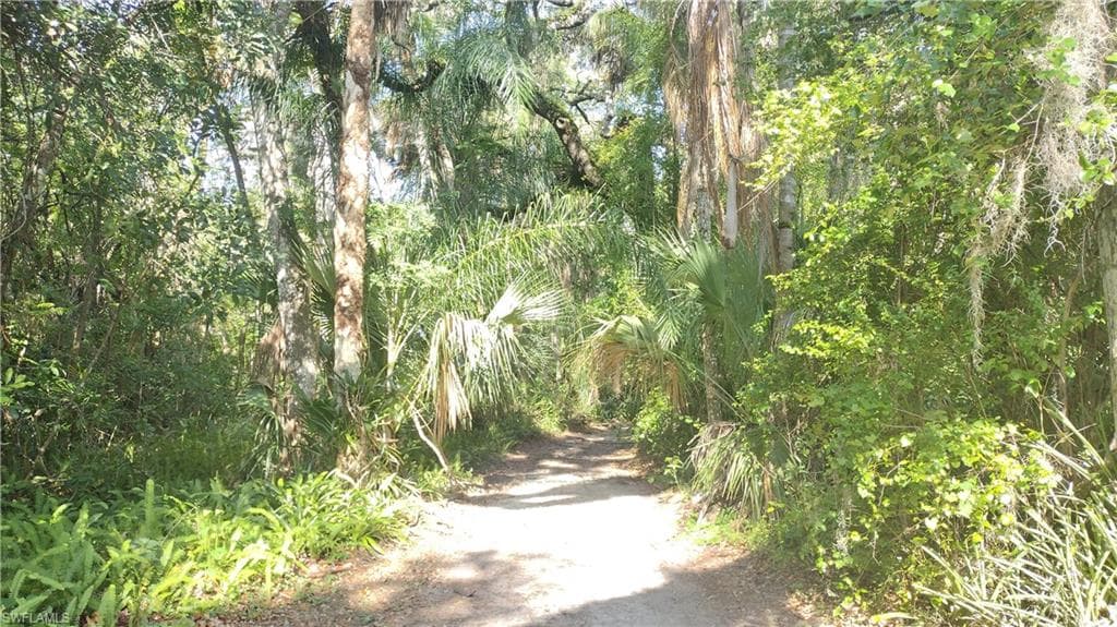 1469 Coffee Mill Hammock RD-34