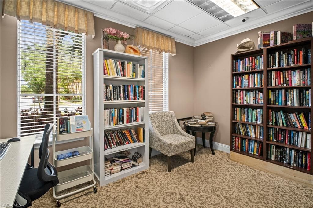 Property Image 41