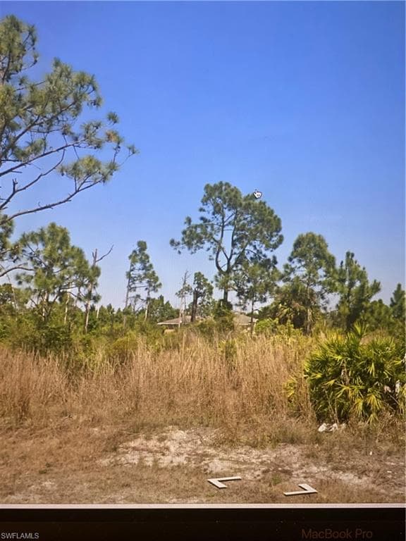 Thumbnail Image 3