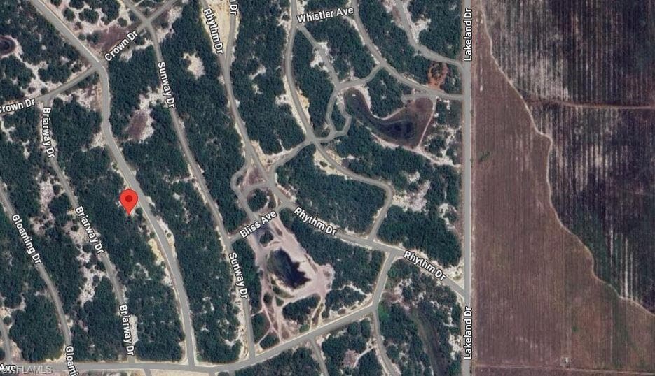 220 Hopedale DR, LAKE PLACID FL 33852-2
