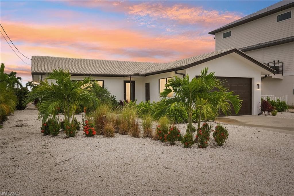 268 Ibis ST-37