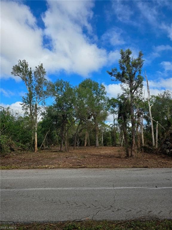 27442 S Twin Lakes DR-1